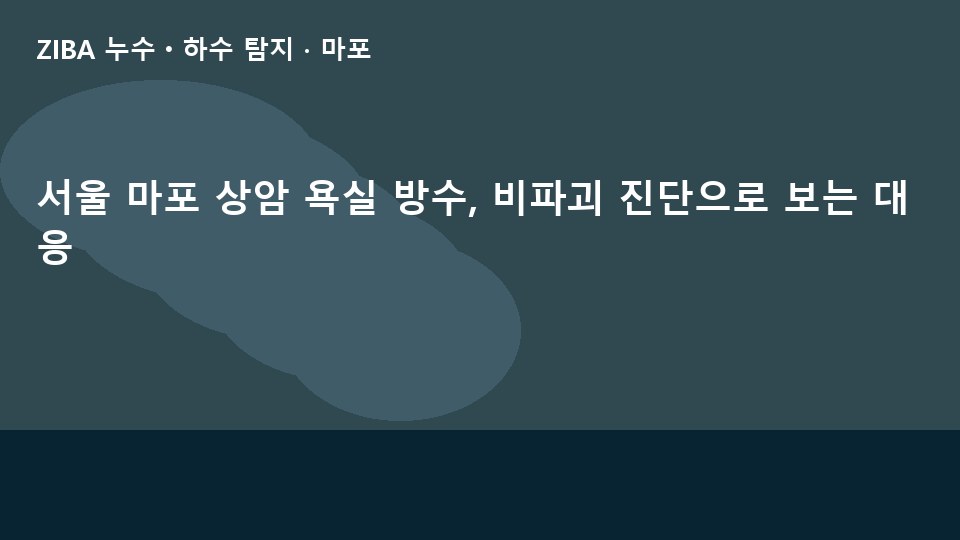 서울 마포 상암 욕실 방수, 비파괴 진단으로 보는 대응