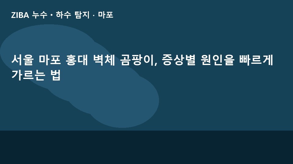 서울 마포 홍대 벽체 곰팡이, 증상별 원인을 빠르게 가르는 법