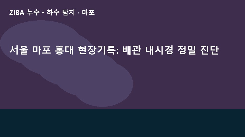 서울 마포 홍대 현장기록: 배관 내시경 정밀 진단