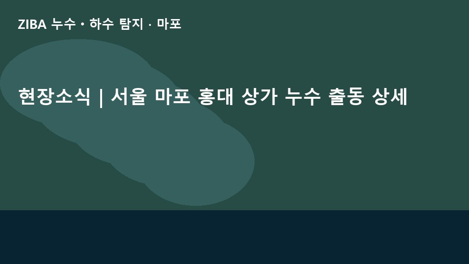 현장소식 | 서울 마포 홍대 상가 누수 출동 상세