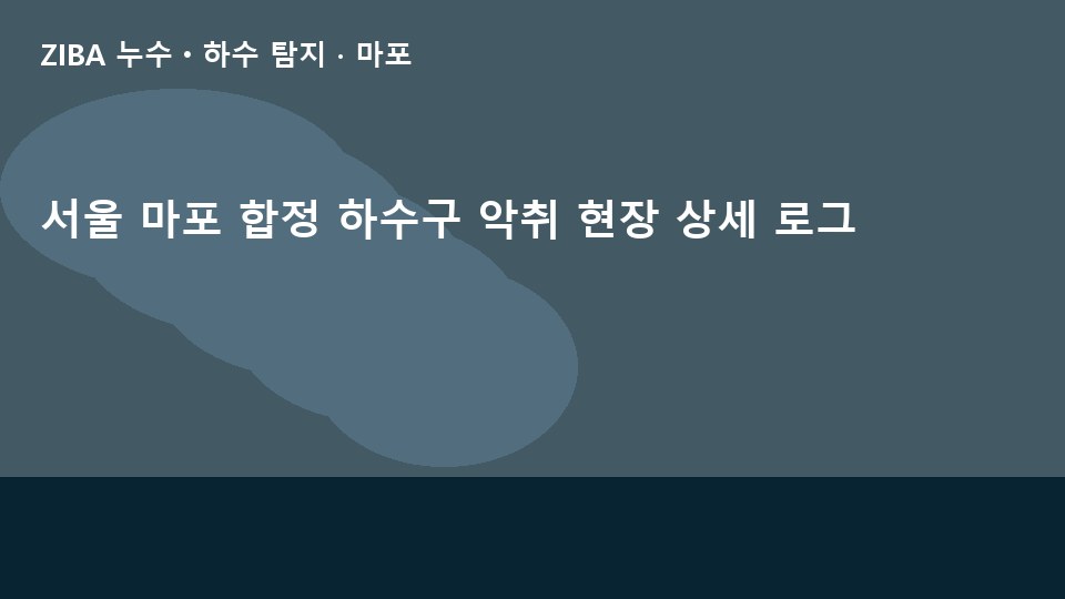 서울 마포 합정 하수구 악취 현장 상세 로그