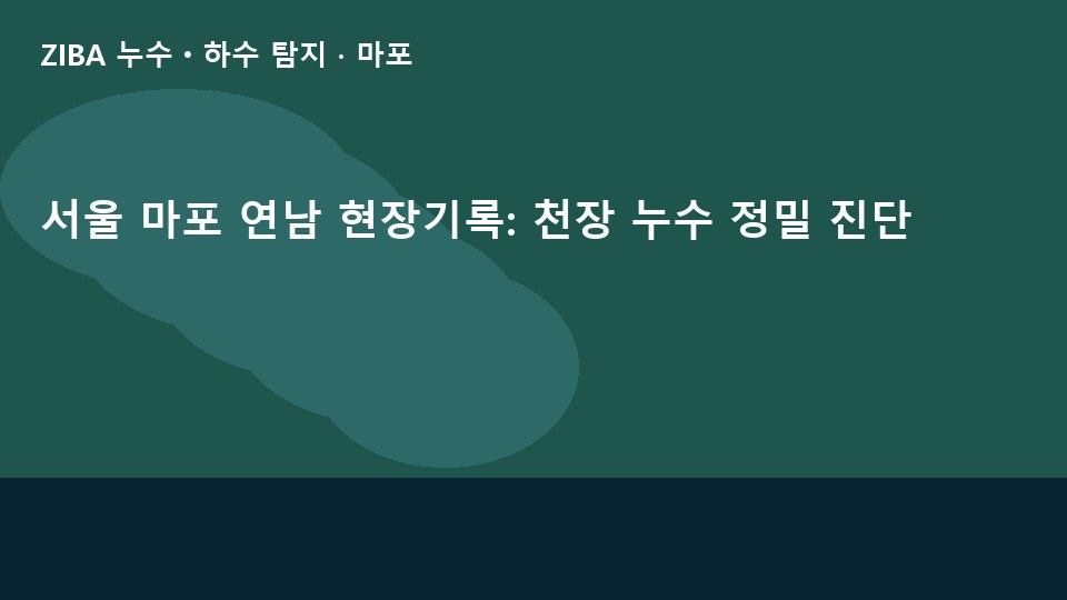 서울 마포 연남 현장기록: 천장 누수 정밀 진단