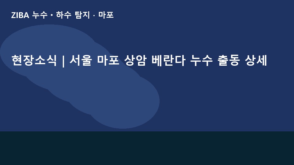 현장소식 | 서울 마포 상암 베란다 누수 출동 상세