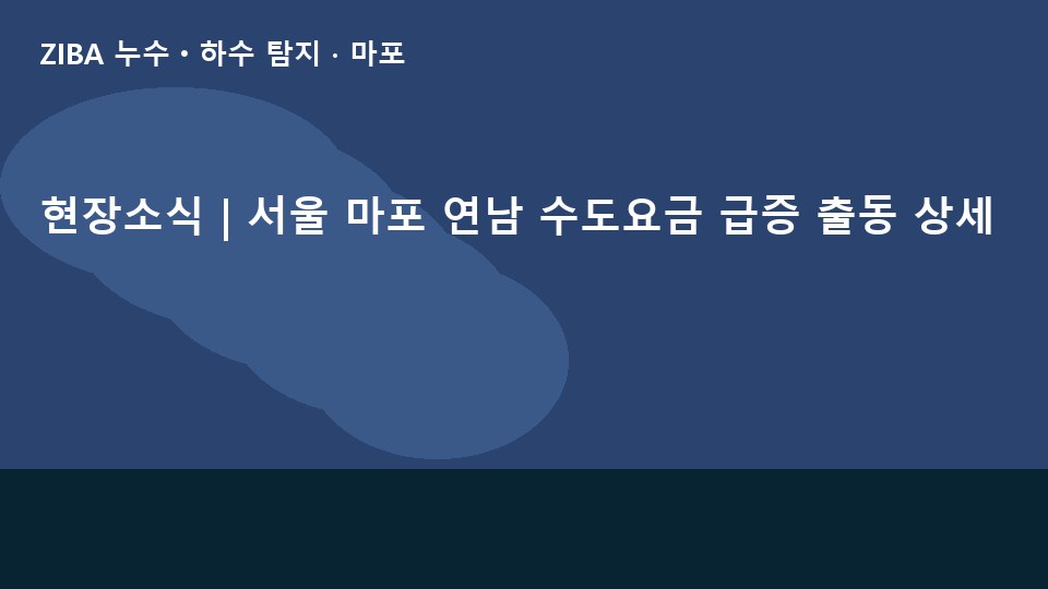 현장소식 | 서울 마포 연남 수도요금 급증 출동 상세